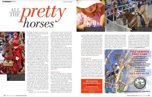 NVM Arabian Horse Show