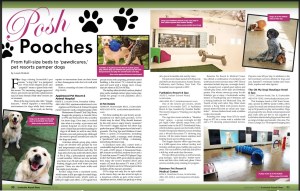 Pet resorts - Scottsdale Airpark News